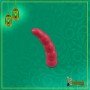 Love Kit for Couple Flirting Suits with Controller SK-002