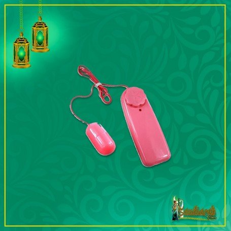 Bullet Vibrator 2 in 1 BV-008