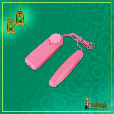 Multi Speed Long Egg Bullet Vibrator BV-024