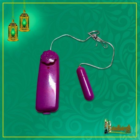 Personal Vibration Jump Egg Vibrating Bullet Massager BV-030