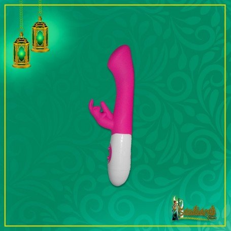 10 Function Dual Rabbit Vibrator RV-014