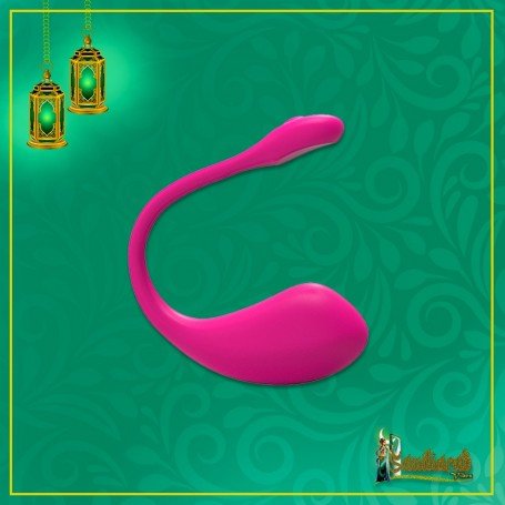LUSH 2 Remote Control Vibrator