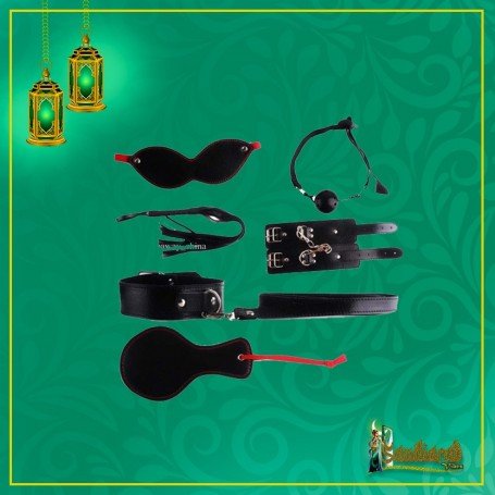 Passion Flirting BDSM KIT V2